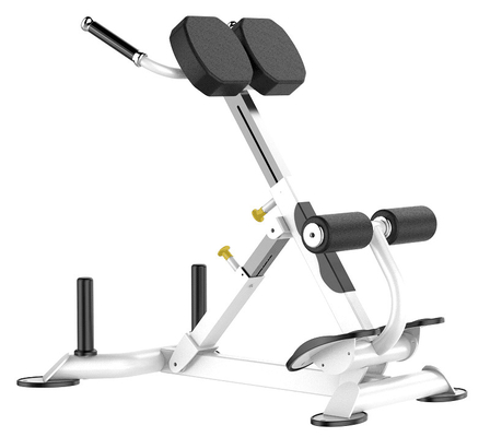 Rohs Roman Chair Back Extension Exercise Machine untuk Gym