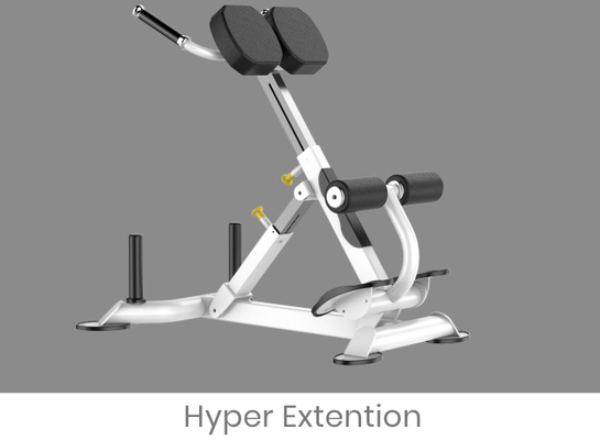 Rohs Roman Chair Back Extension Exercise Machine untuk Gym