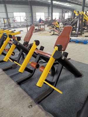 Pelatih Dayung Duduk Peralatan Latihan Otot Punggung Gym Dalam Ruangan Peralatan Fungsi Tunggal Komersial
