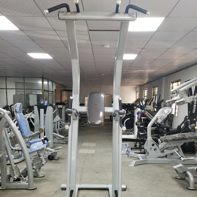 Bodybuilding Fitness Chin Up Bar Mesin Body Fit OEM ODM