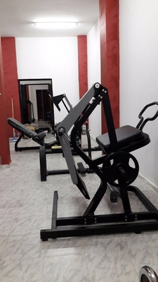 Steel Tube Free Weight Gym Equipment Mesin Kickback Belakang 125kg