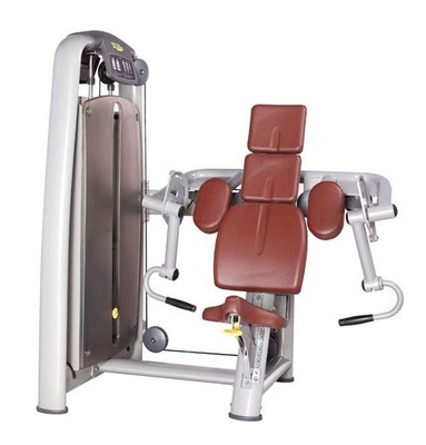 OEM ODM Fitness Gym Equipment Mesin Bicep Curl Dengan Kulit Sintetis